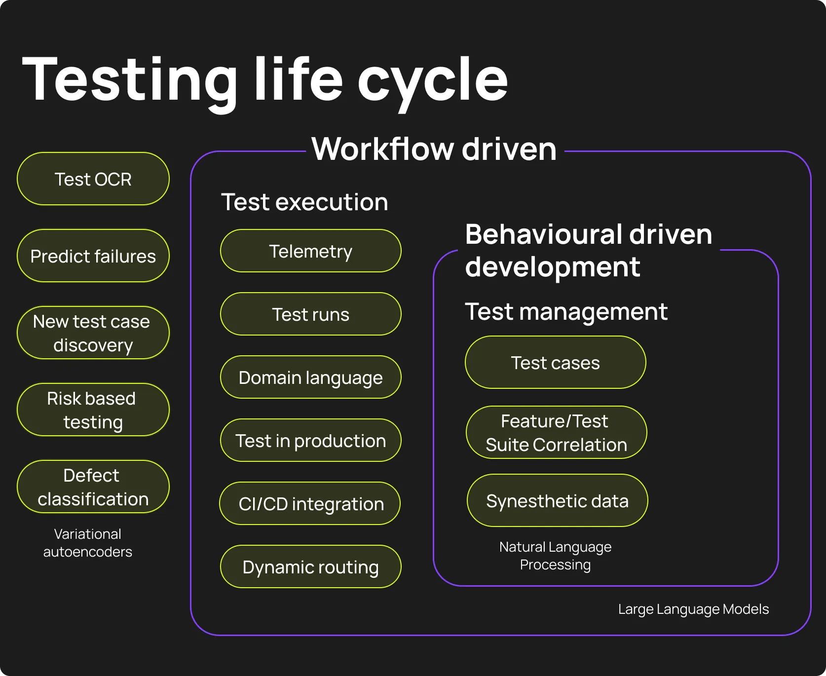Testing life cycle